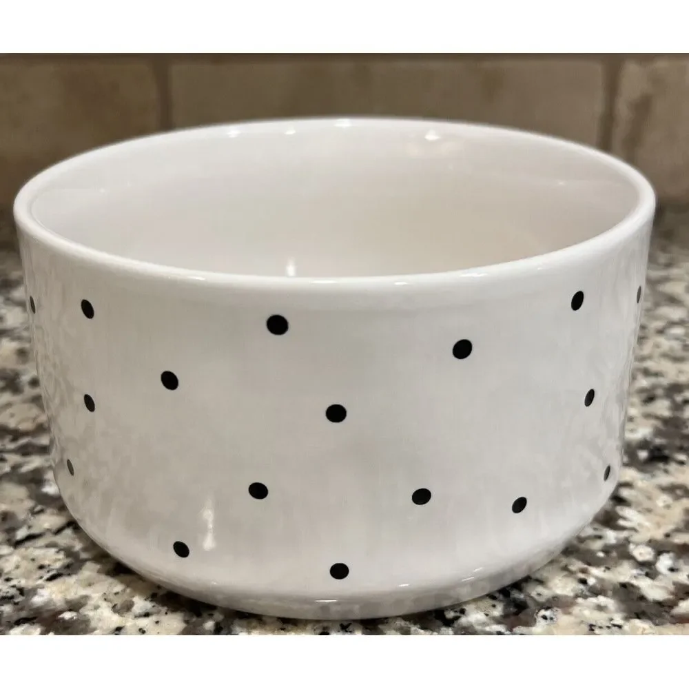 Peanuts x Rae Dunn 2023‎ Halloween Spook Tacular Snoopy & Woodstock Pet Dog Bowl